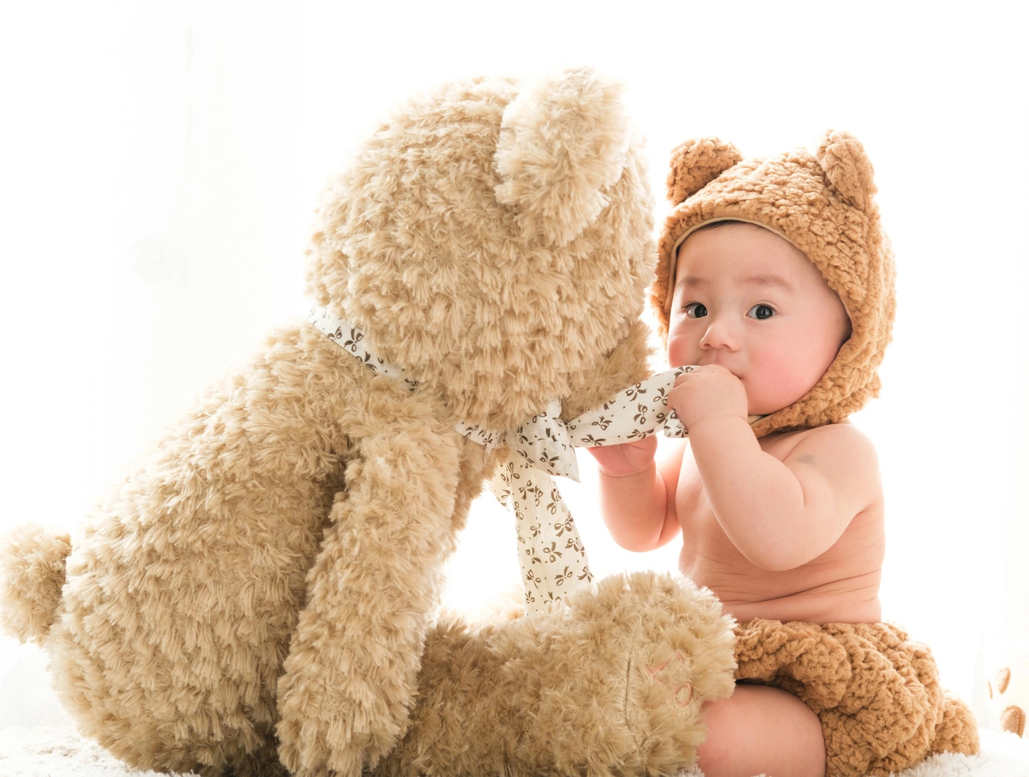 くまの着ぐるみで撮影した子どもの写真 17